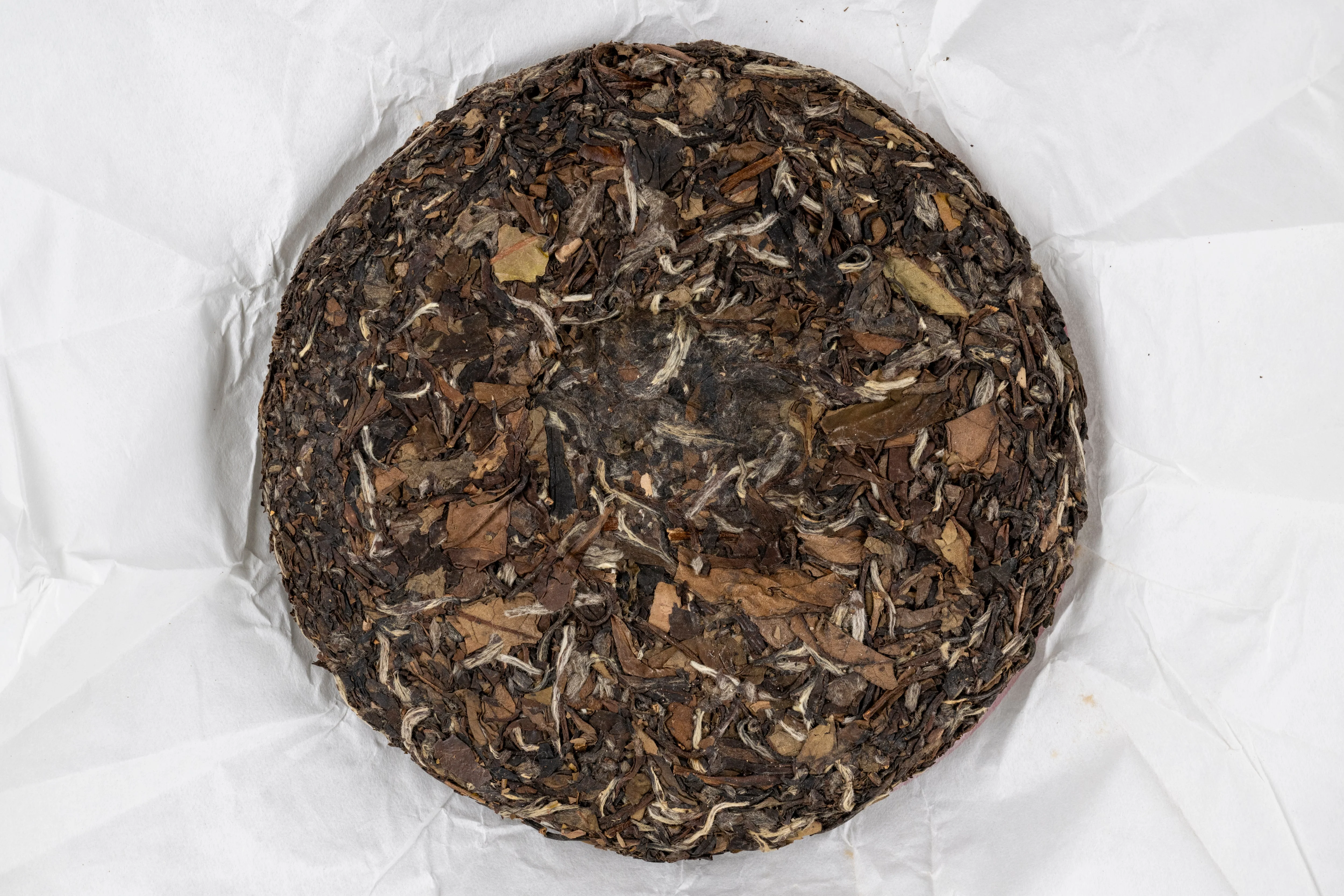 2012 Bai Mu Dan - Image 2