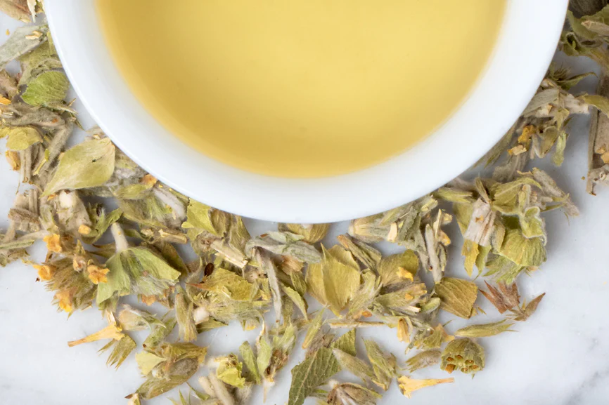 Greek Mountain Tea